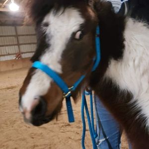 Meet your Posher, Martin